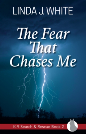 The Fear That Chases Me