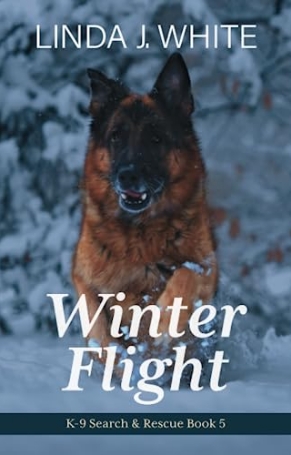 Winter Flight